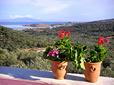 Εξωτερικοί χώροι 6
