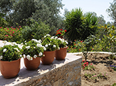 Εξωτερικοί χώροι 9